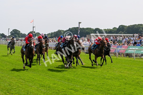 130625-Race 3-Easy Peeler-9014 - Race 3 3.00pm British EBF Supporting Racing With Pride Fillies' Handicap