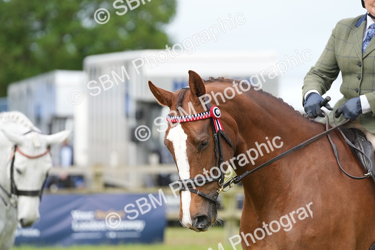SBM_10605 - Class 97-98 - LIHS BSHA Rising Star Working Show Horse Hunter