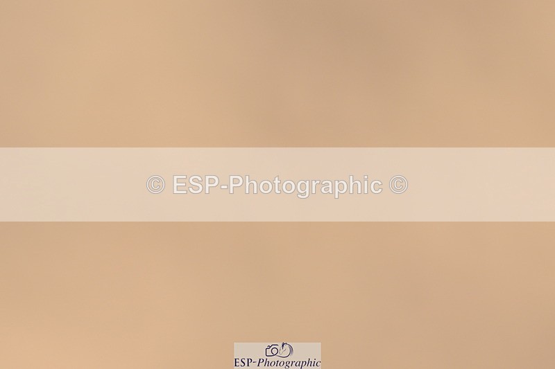 240509A-104657-00984 - Cls 8 Foxhunter