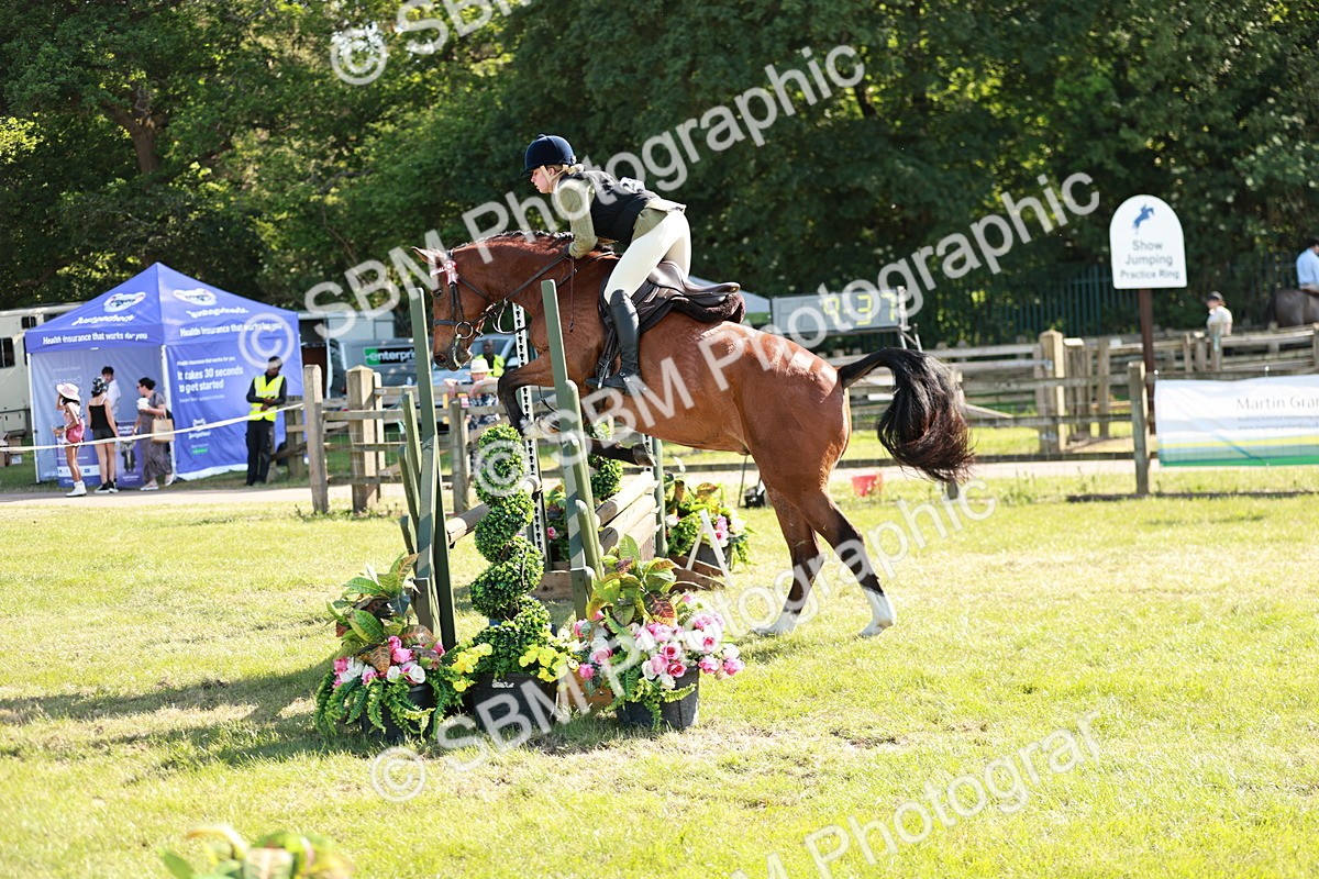 SBM_19137 - Class 115-116 - LIHS BSHA Rising Star Working Hunter & Show Horse