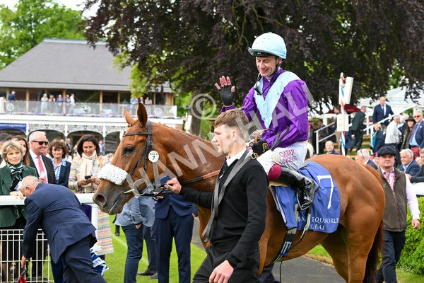 150525-See The Fire-4565 - Race 3 3.13pm Al Basti Equiworld Dubai Middleton Fillies' Stakes