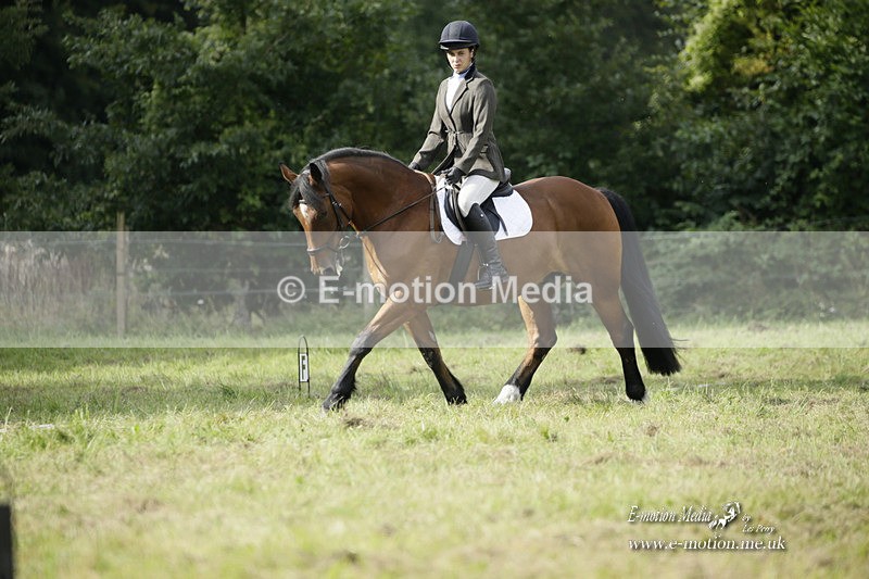 BVRC 120921 324 - Bourne Valley Riding Club UA Dressage & Show Jumping 12/09/21