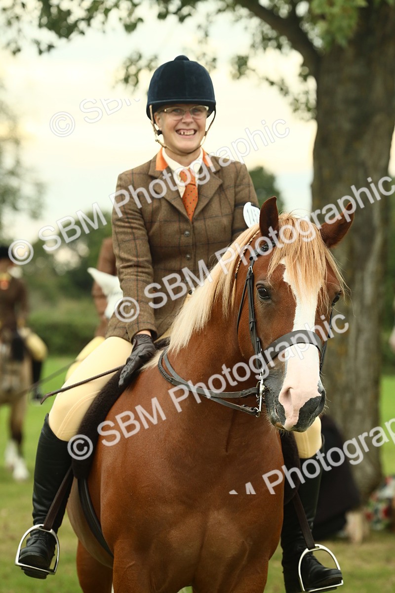 SBM_72286 - S60 - Mountain & Moorland Ridden Large Breeds