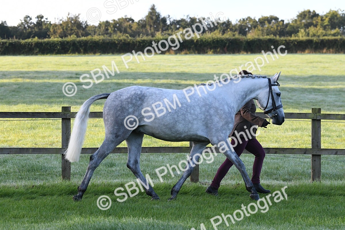 SBM_32594 - S15 - Condition & Turnout In Hand