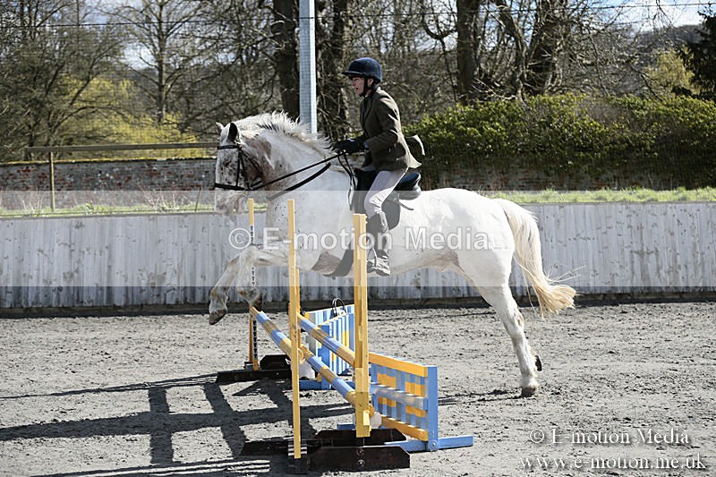 BVRC SJ 170319 232 - Bourne Valley Riding Club Showjumping 17/03/19