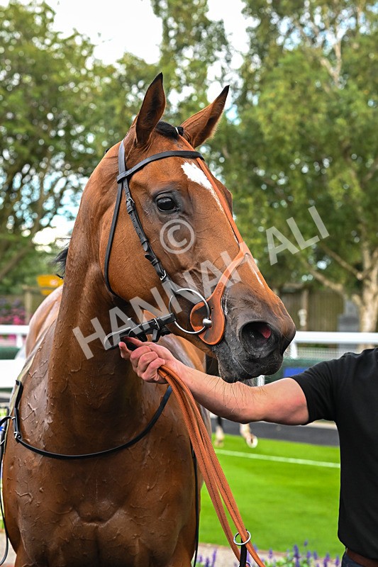 210725-Race 1-Temple Of Athena-6738 - Race 1