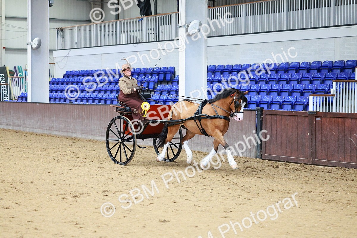 SBM_000166 - Class 3 - Alison Thomas Memorial Lady Whip
