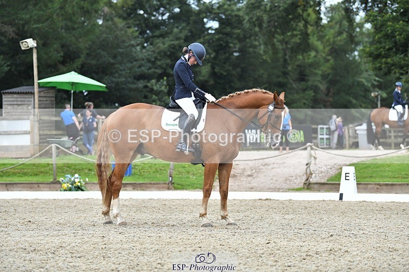 230812-113003-03640 - Cls 6 Novice Silver 10.30 to 11.55 break