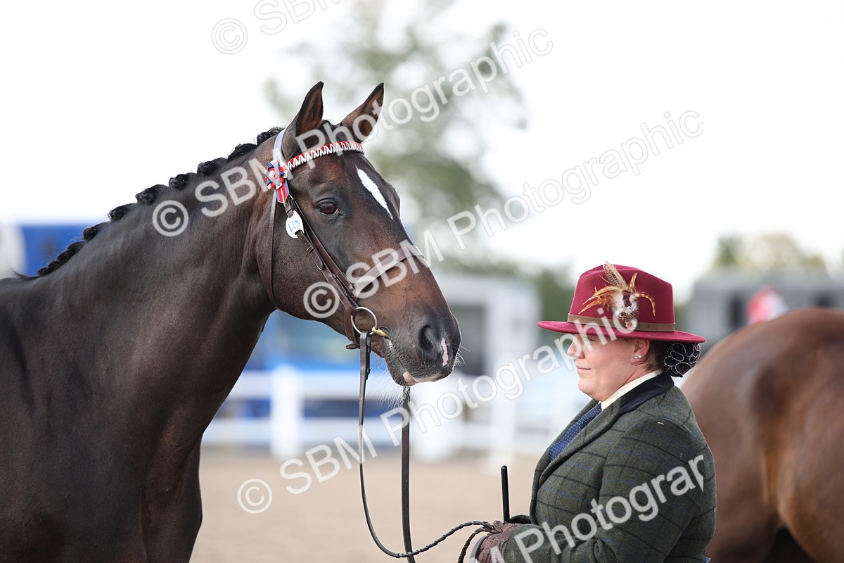SBM_07130 - Class 25 IH Foreign Breeds- Pure bred