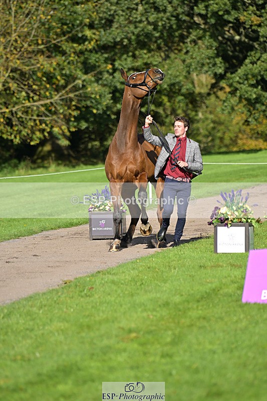 241023-130111-00019 - 013-Cameron.Beer-GREENLANES.LE.BAMBALOU