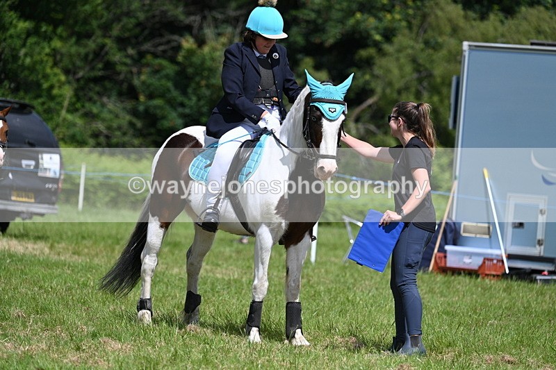 WJ7_1848 - Class 9 Pony Club Pony