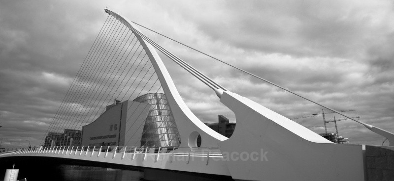 Bridge and Conference Centre - Shapes and Skies