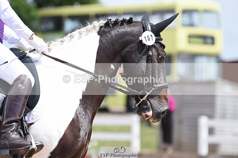 230702A-124702-09241 - Cls 21+23 Novice 28+34