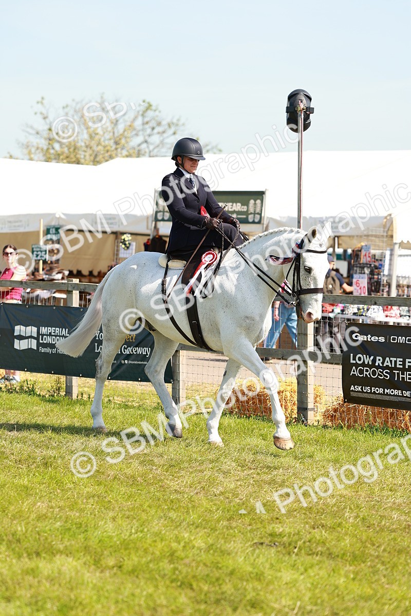 SBM_13286 - Class 70-71 - Side Saddle
