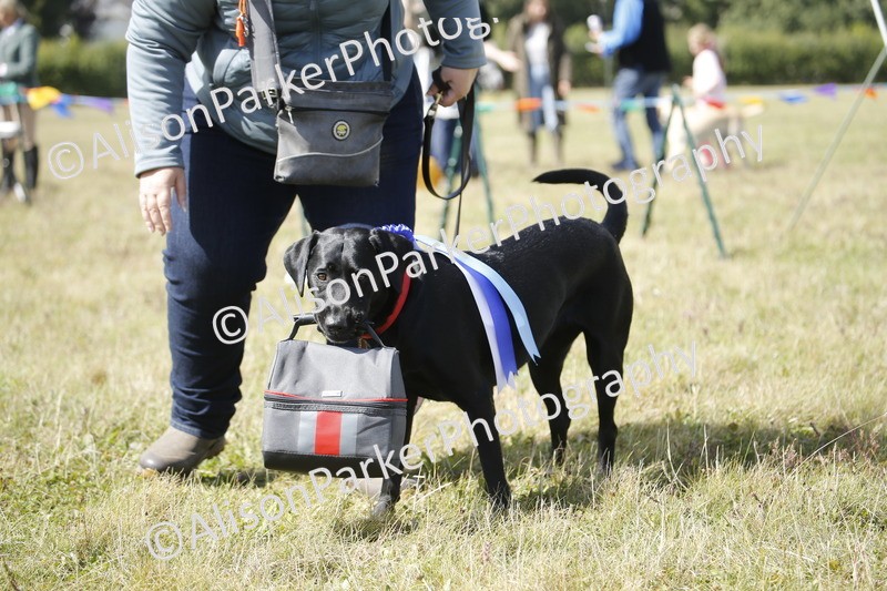20250831-3735 - Dog Show