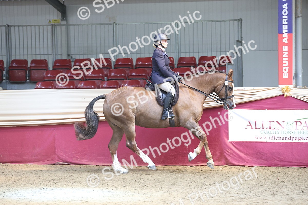 SBM_23750 - class 906 - Supreme Final - Ridden Pre Vet