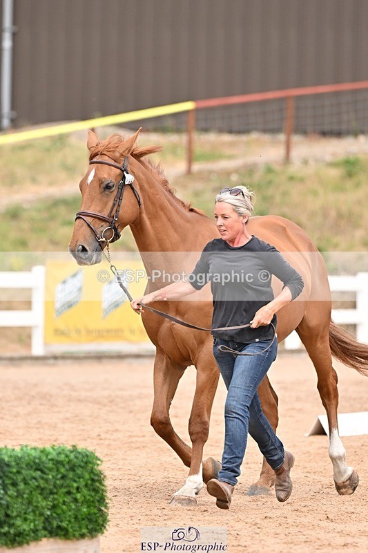 250716-154134-02122 - Trot Up 3.30 to 4.30