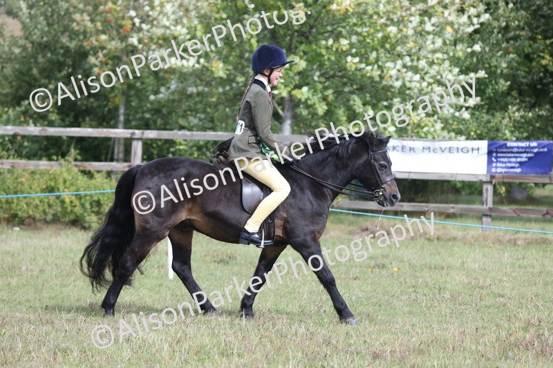 20250831-1289 - Class 15 - Ridden Veteran