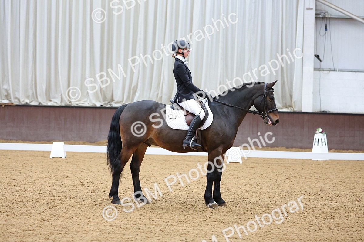 SBM_002736 - Novice
