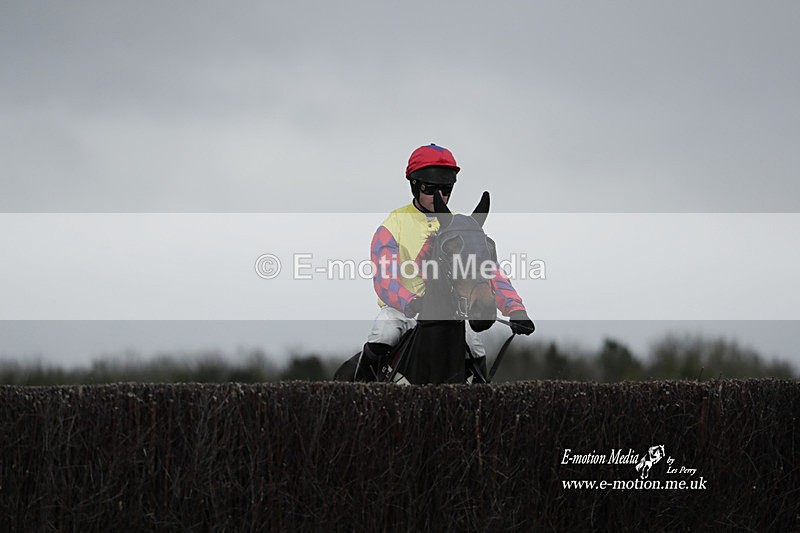 PtP 260323 0713 - New Forest Hounds Point-to-Point Larkhill 26/03/23