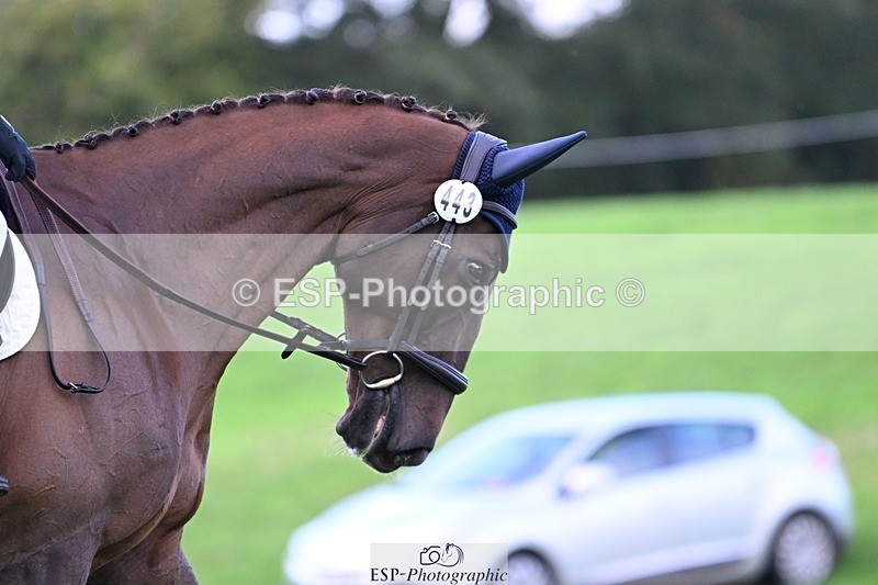 241025-094236-05844 - 443-Bethan.O'Dell-RED.VICO