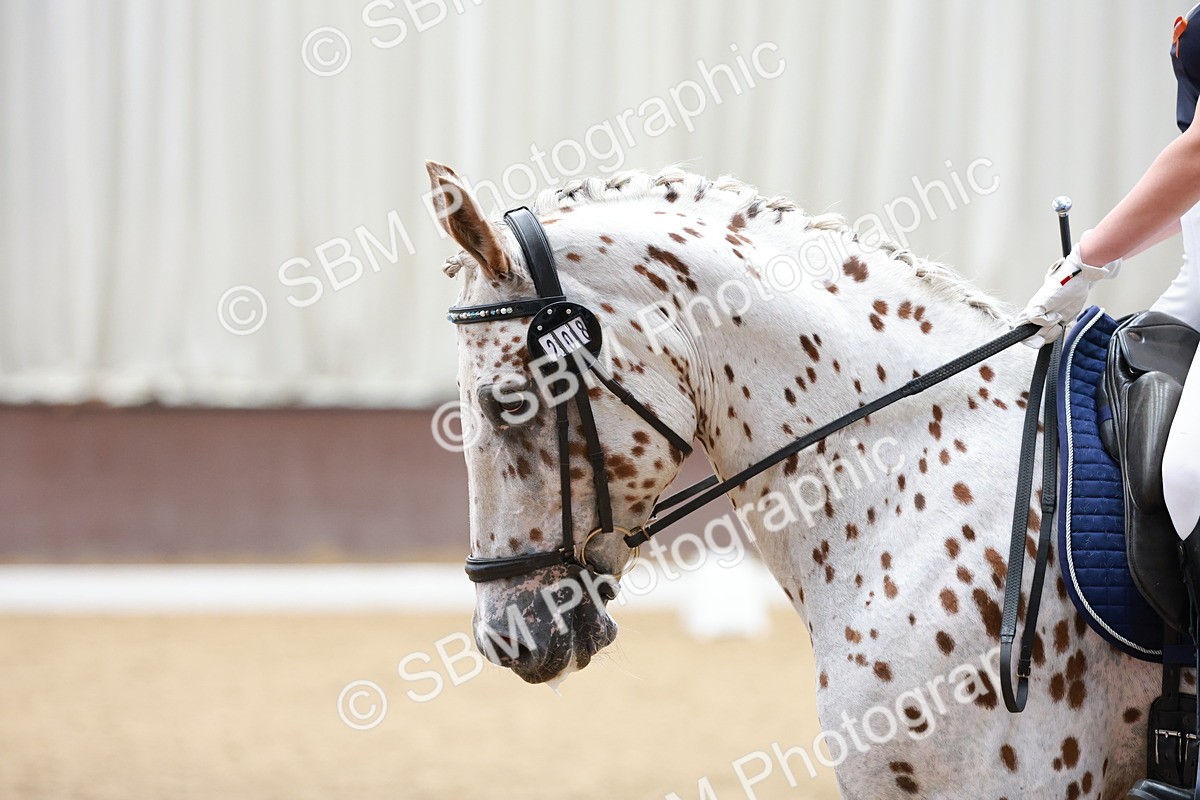 SBM_007513 - Prelim 5 - 12.16-14.11