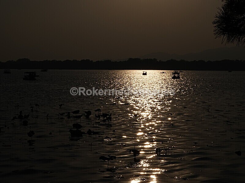 CHINA__1296 - China 2019