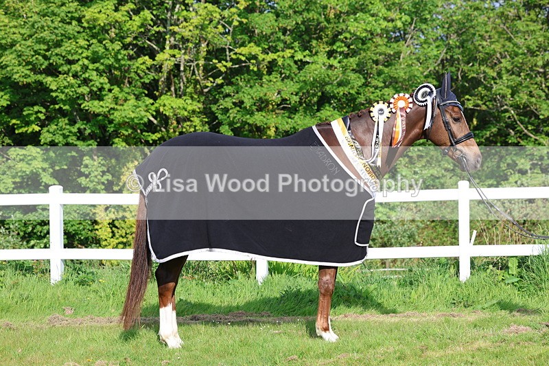 3E7A0281 - Verity Perry