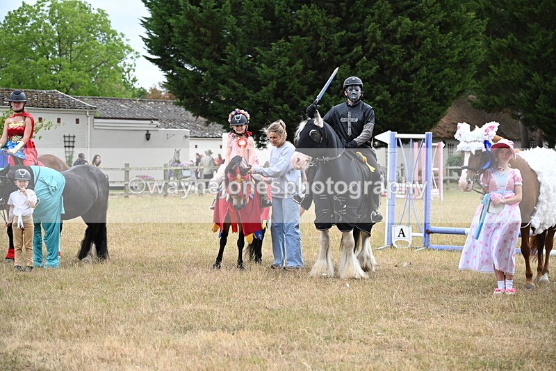 WJ6_9250 - Class 11 Fancy Dress