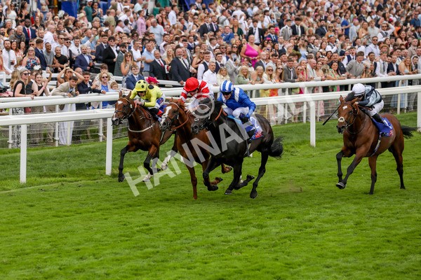 270724-Race 1-Alflaila-4681 - Race 3 3.15pm Sky Bet York Stakes