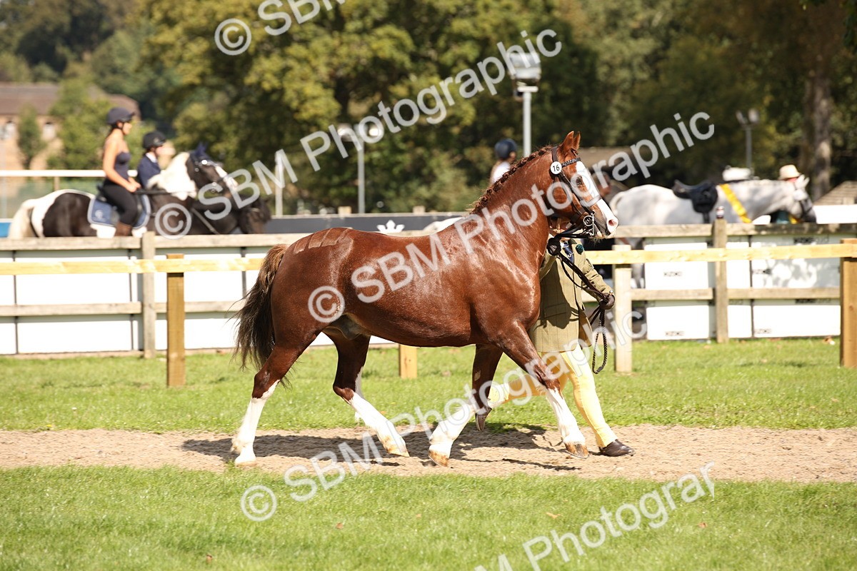 SBM_44382 - S24 - Young Veteran in hand