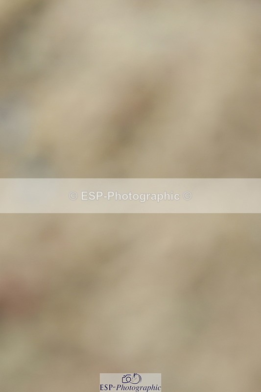 230701A-123345-05766 - Cls 7 Elementary 45