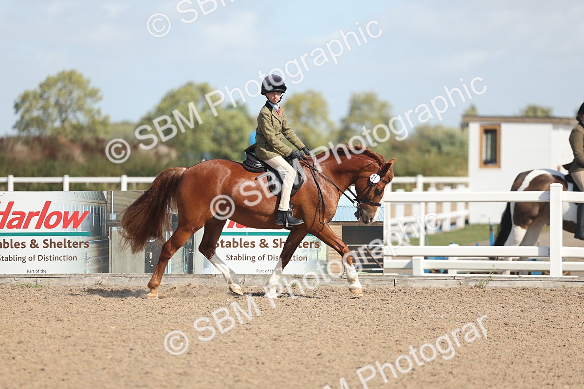 SBM_23074 - Class 806 - Young Rider 10ry and Under
