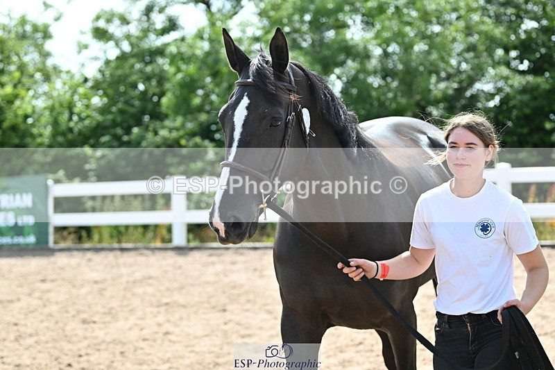 240717A-154025-02969 - Trot Up 3pm to 4pm