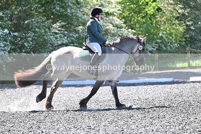 WJ7_9452 - Time 12:10 to 12:21