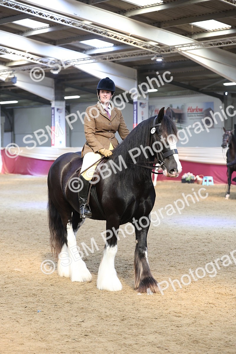 SBM_23802 - class 906 - Supreme Final - Ridden Pre Vet