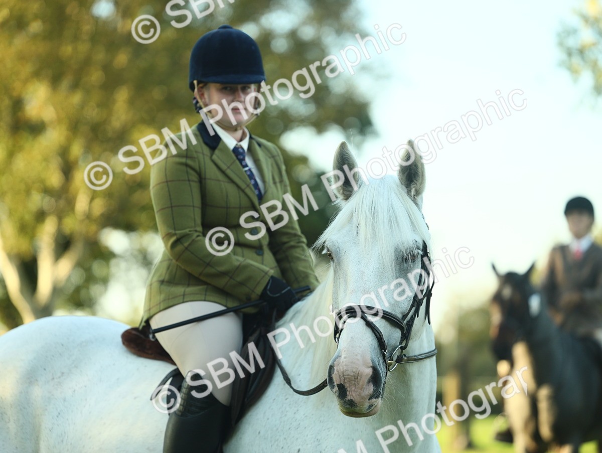 SBM_55606 - S14 - Riding Club Horse