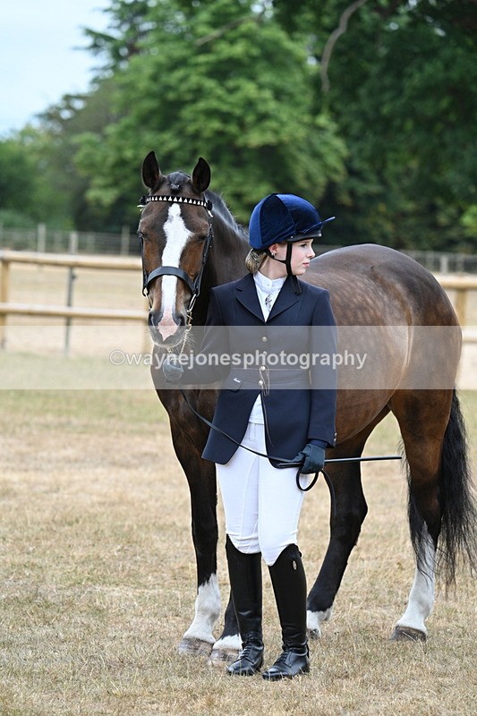 WJ7_0143 - Class 5a Most Handsome Gelding (above 14.2hh)
