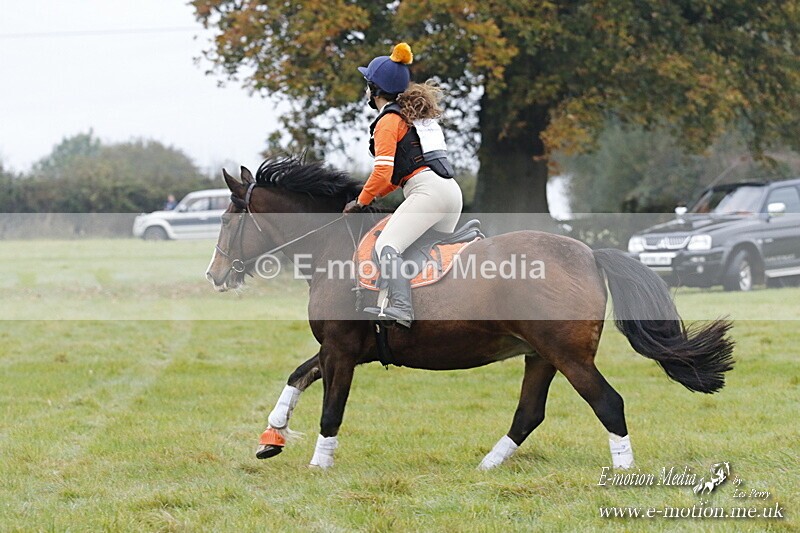 WWHT 181020 WWHT 181020 101 - WWEC Novice Restricted (0.80m) 18/10/20
