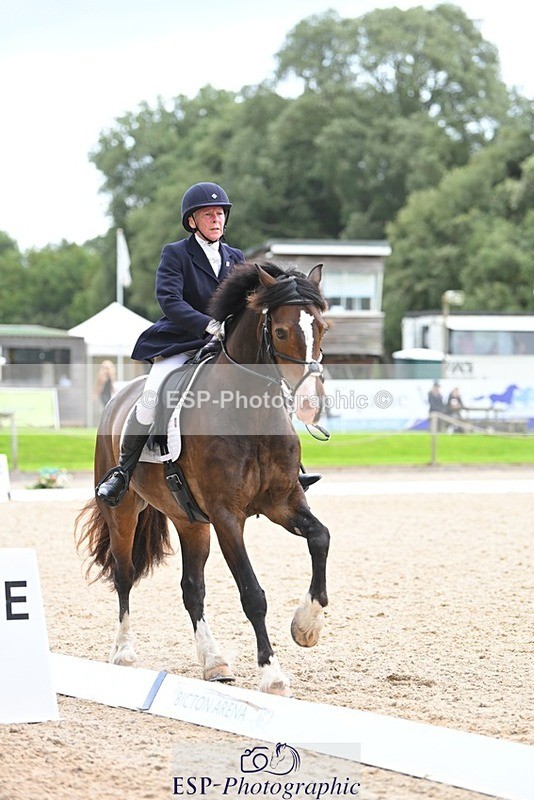 230813-140958-07690 - Cls 13 Medium Bronze 13.15 to End