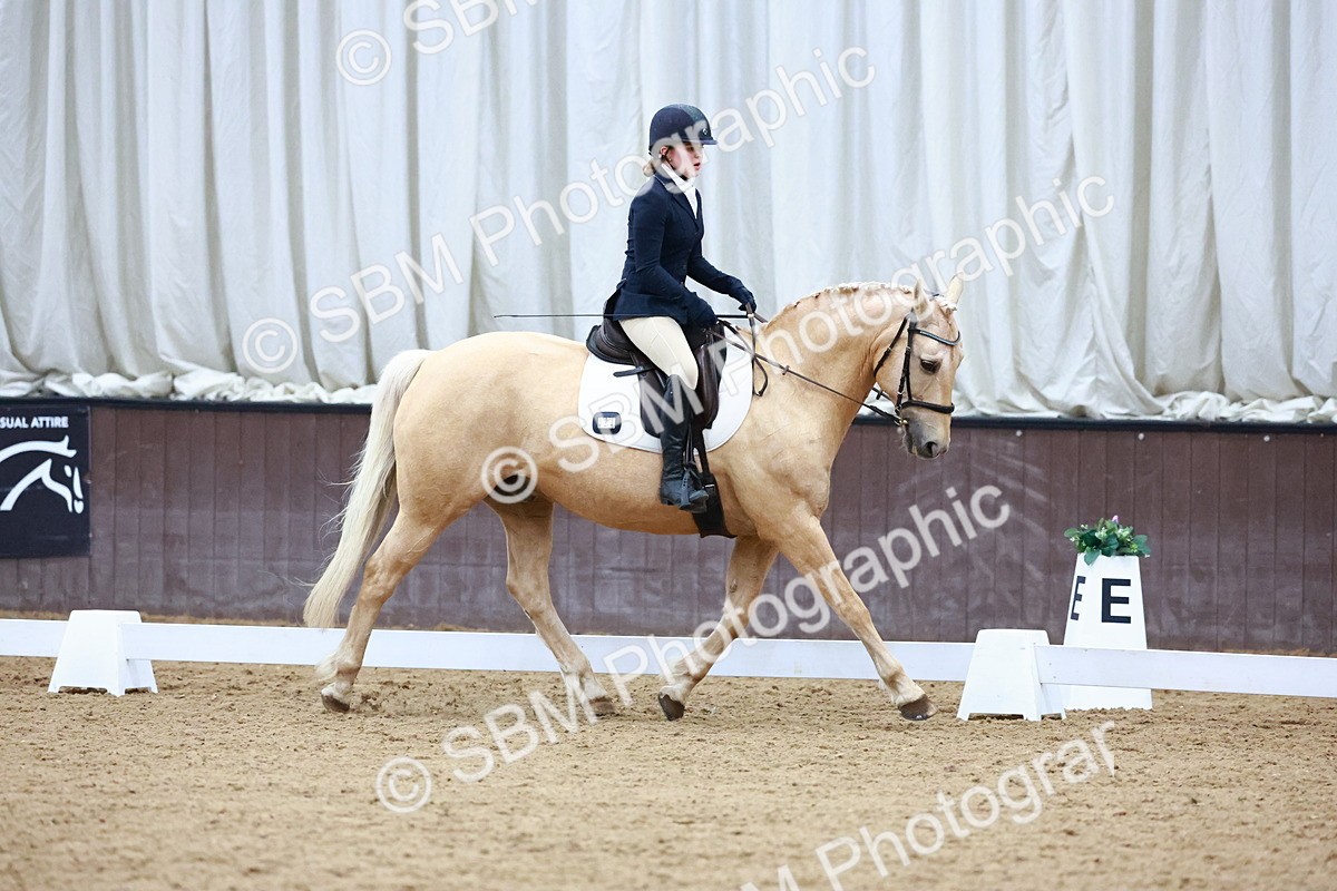 0B8A8304 - Class 5 - Novice 2