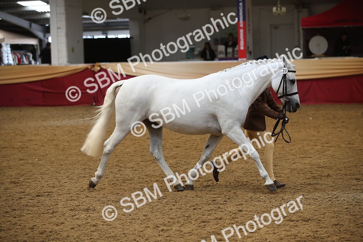 SBM_05367_Class 8r - Regional - IH Veteran - Vicky Gutteridge