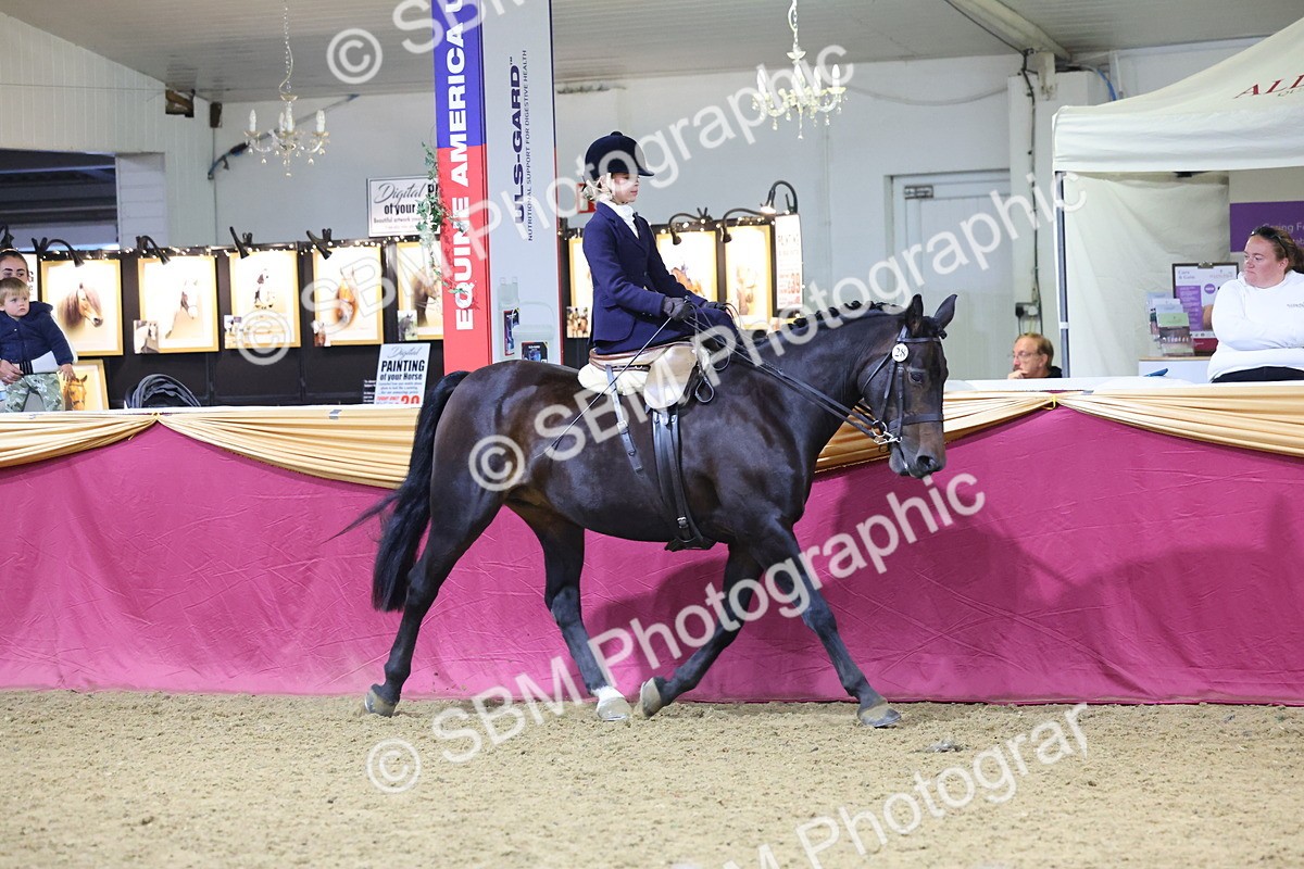 0B8A4247 - Class L Side Saddle Champ