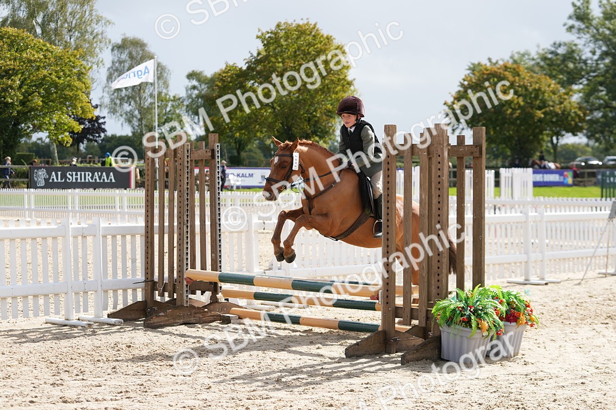 SBM_40771 - Supreme Championship Pony 50-55cm
