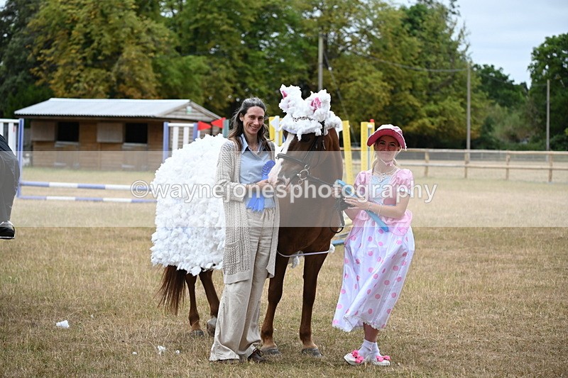 WJ6_9006 - Class 11 Fancy Dress