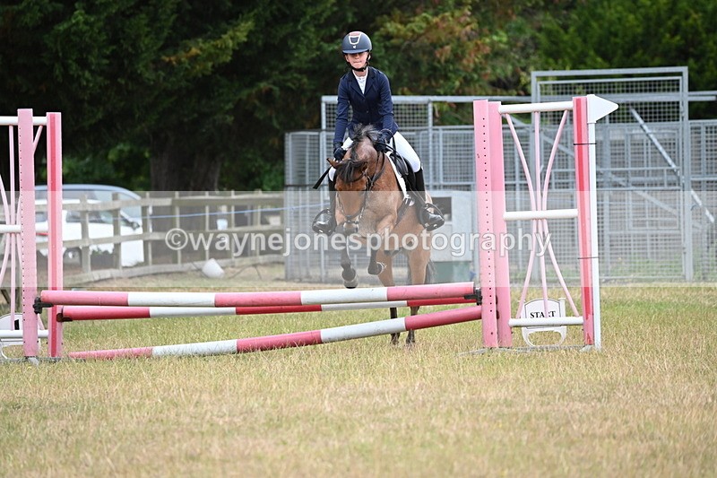 WJ6_9977 - Class 13 Novice Jumping 60cm