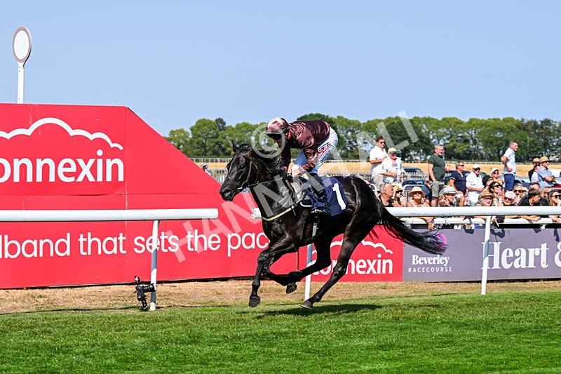 130826-Race 2-Concert Pitch-8378 - Race 2 14.45pm Welcome Racing TV Club Members Nursery Handicap