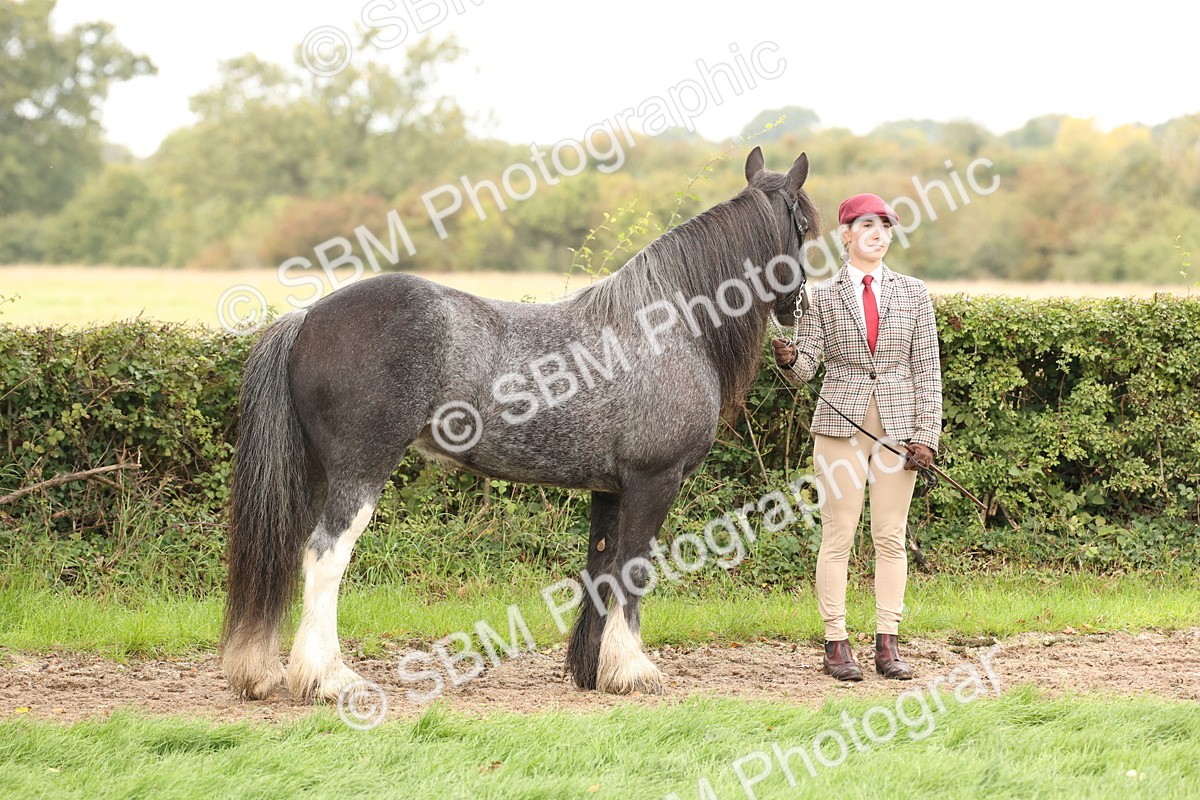 SBM_59234 - S57 - Traditional Cob In Hand
