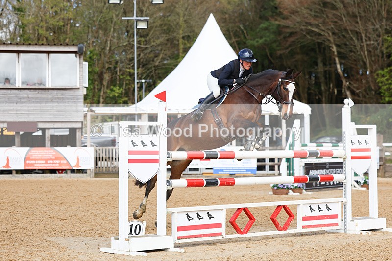 3E7A2176 - Class 8: Senior Foxhunter/1.20 open