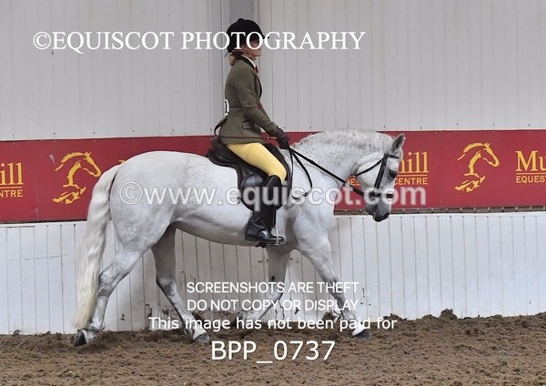 BPP_0737 - RING 2
